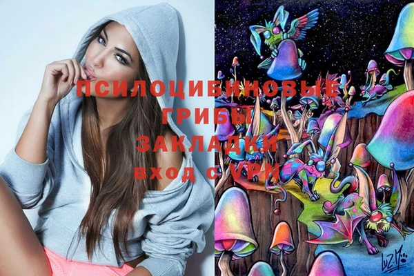 дживик Струнино