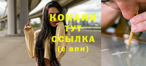 дмт Бородино