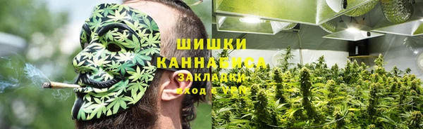 дживик Струнино